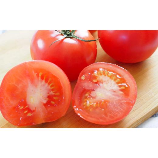 ふるさと納税 熊本県 八代市 熊本県産 フルーツトマト 約2kg