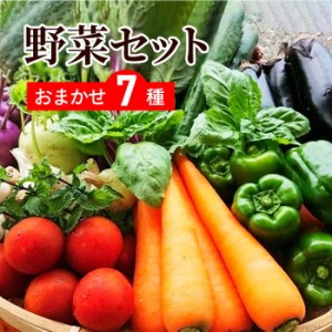 送料無料 野菜セット 7品セット おまかせ野菜セット 野菜詰め合わせ お試し野菜セット 野菜セット 野菜宅配 西