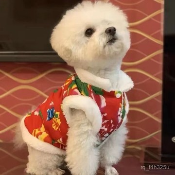 【限時特賣】寵物衣服  寵物搞怪衣服 貓咪衣服秋冬季新年裝泰迪東北大花襖泰迪比熊幼貓寵物狗狗衣服
