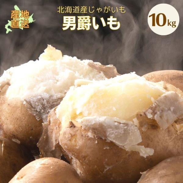 じゃがいも ジャガイモ 男爵 10kg 正品・LM L 2L混 （新じゃがいも） 野菜 北海道産 お礼 御祝  産直 内祝