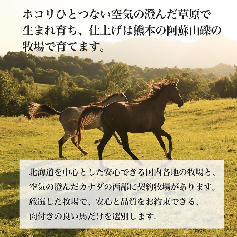 馬刺し ギフトセット 上赤身2個 計200g タレ・生姜付き ふじ馬刺し 国産 熊本 フジチク 馬肉 ヘルシー プレゼント のし