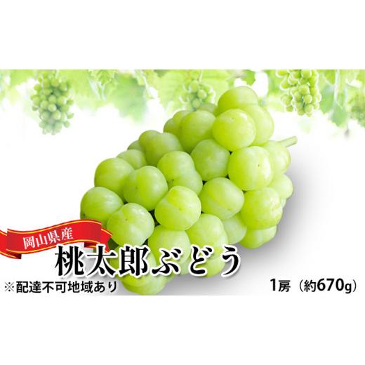 ふるさと納税 岡山県 岡山市 ぶどう 2024年 先行予約 桃太郎 ぶどう 1房（1房約670g）化粧箱入り マスカット ブドウ 葡萄  岡山県産 国産 フルーツ 果物 ギフ…