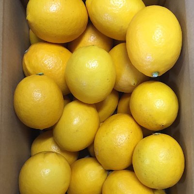 ふるさと納税 上富田町 和歌山県産　レモン　1kg　サイズ混合(上富田町)