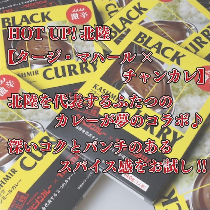 チャンピオンカレー レトルト 激辛 コラボ 140ｇ 1袋 10個セット TV 秘密のケンミンSHOWで紹介 金沢カレーの元祖 まとめ買い 詰め合わせ