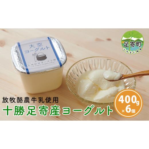 ふるさと納税 北海道 足寄町 大空ヨーグルト400g×6個 北海道十勝足寄町