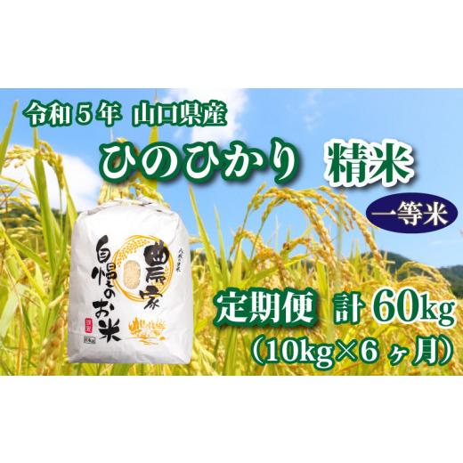 ふるさと納税 山口県 下関市 令和5年 山口県産 ひのひかり 精米 10kg×6回