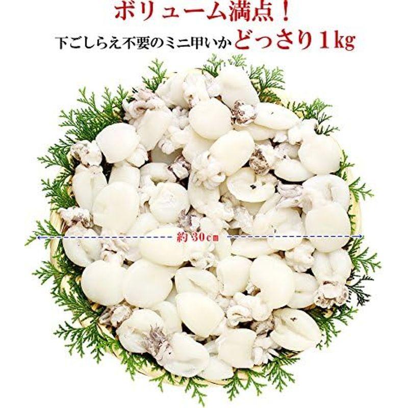 甲羅組 ゲソ付き ミニ 甲いか 1kg イカ