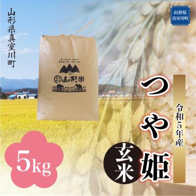 ふるさと納税 真室川町 令和5年産 特別栽培米 つや姫  5kg(5kg×1袋) 山形県 真室川町