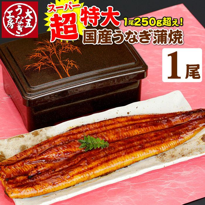 超特大うなぎ蒲焼 250g以上×1尾（2〜4人前） 国産うなぎ 蒲焼 土用の丑の日 土用 丑の日 ご自宅用 お取り寄せ 簡易箱 冷凍 送料無料