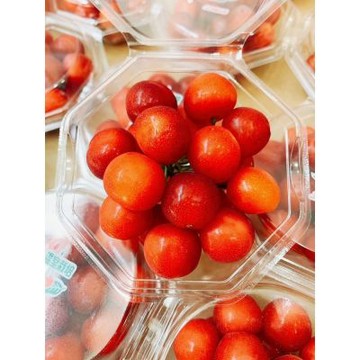 日本 山形縣 佐藤錦 小圓盒櫻桃 1+1盒｜日本山形櫻桃