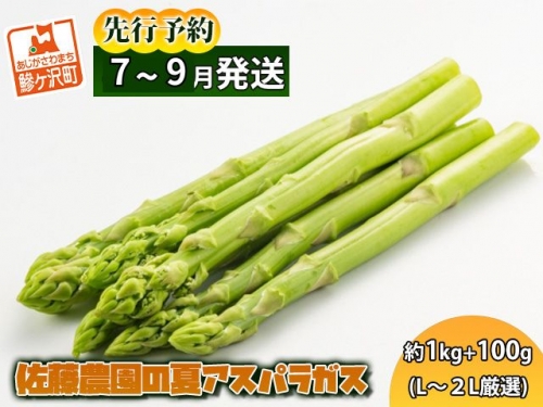 佐藤農園の夏アスパラガス！約1kg 100g（L～2L厳選）青森県鰺ヶ沢町産