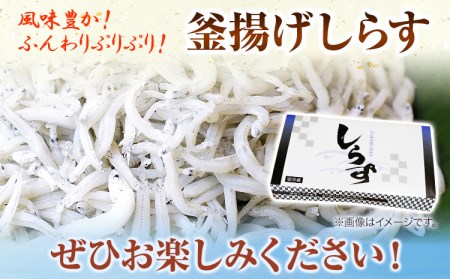 釜揚げしらす900g（化粧箱）　大五水産 《30日以内に順次出荷(土日祝除く)》 和歌山県 紀の川市 しらす 釜揚げしらす