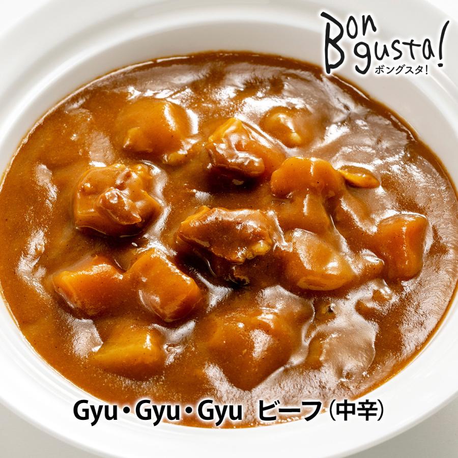 Gyu・Gyu・Gyu　ビーフ（中辛）