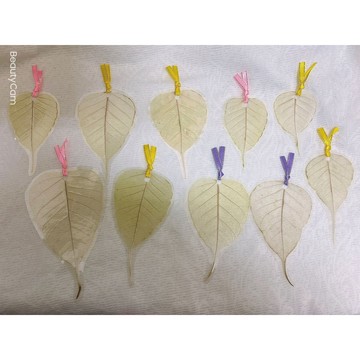現貨菩提葉脈書籤 樹葉/葉子 /手作飾品