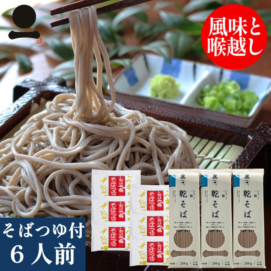 そば 乾麺 蕎麦 3本(6人前) つゆ付 家庭用 乾そば 乾麺 常備食 保存食 非常食