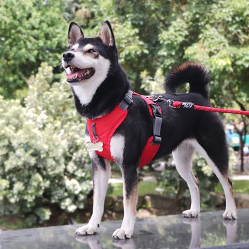 URBAN HARNESS 寵物包覆式胸背帶  紅