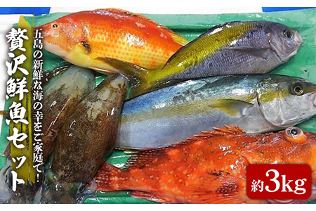 贅沢鮮魚セット約3kg 鮮魚 刺身 魚介類 詰め合わせ 五島市 五島FF [PBJ006]