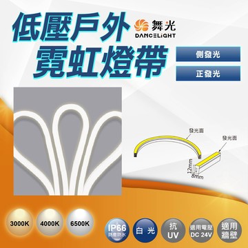 【舞光】低壓戶外霓虹燈帶 側發光-正發光可供選擇（須另購DC24V驅動器） 1包5米