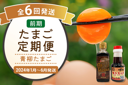 たまご前期定期便 6回発送（初回のみ醤油付き・たまご20個）20個×6回 合計120個 定期便 6ヶ月 卵 おうはん卵 青柳たまご 送料無料 