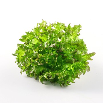 【源鮮智慧農場】冰山紅火焰-120g(包菜)
