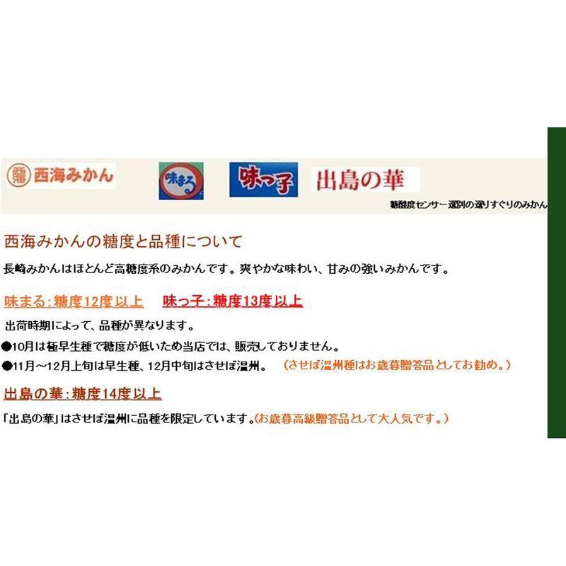 長崎県産 西海・味まるみかん 赤秀 約5kgＳサイズお歳暮贈答用長崎 みかんみかん味まる11月下旬?12月中旬頃発送日付指定不可