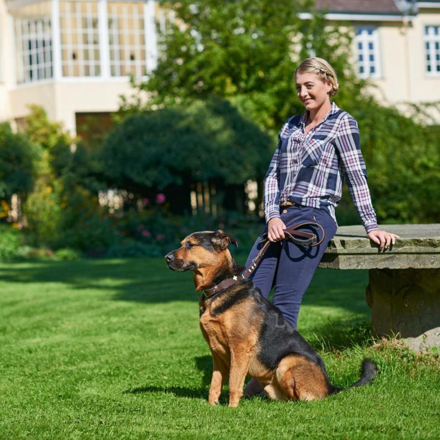 ハンター 犬用 リード トレーニングリード ヒロ 20 200 中型犬 大型犬 反射材使用 2頭引き 複数 ドイツブランド