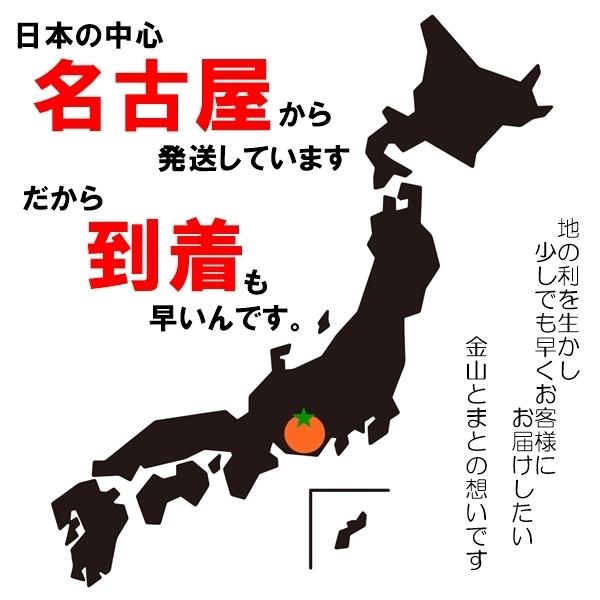 素焼きブラジルナッツ 人気サイズ500g 無添加・無塩 ジャングルナッツ