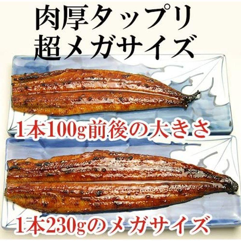 肉厚タップリ 超特大 国産うなぎ 蒲焼き 230g 1本（タレ付き 山椒別売り）川口水産