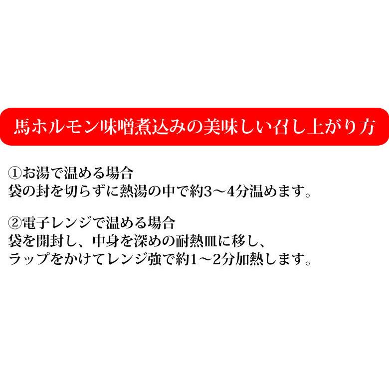 馬ホルモン 味噌煮込み 国産 馬肉 熊本 送料無料 150g×2袋 お取り寄せ おつまみ 馬もつ 大腸 小腸