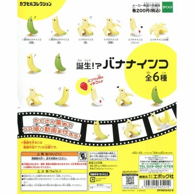 誕生！？ バナナインコ 全6種セット コンプ コンプリート | LINE