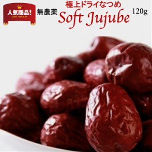 無農薬 極上ドライなつめ Soft Jujube 120g お試しサイズ オーガニック 有機棗 無添加 なつめ ナツメ茶 干し 乾燥棗 サムゲタン 薬膳 妊