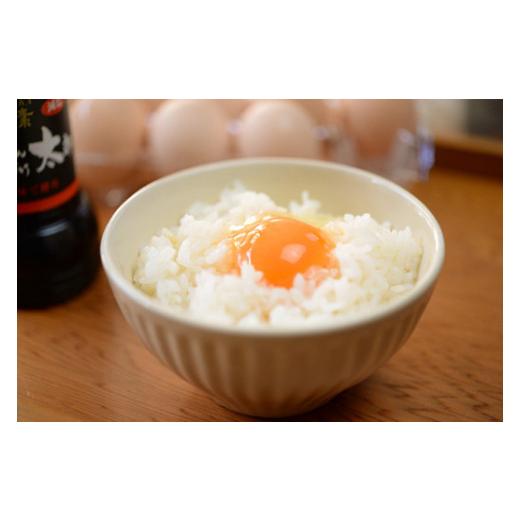 ふるさと納税 宮崎県 小林市 飛来幸鶏の卵かけご飯セット「黙って食べて魅卵ね」