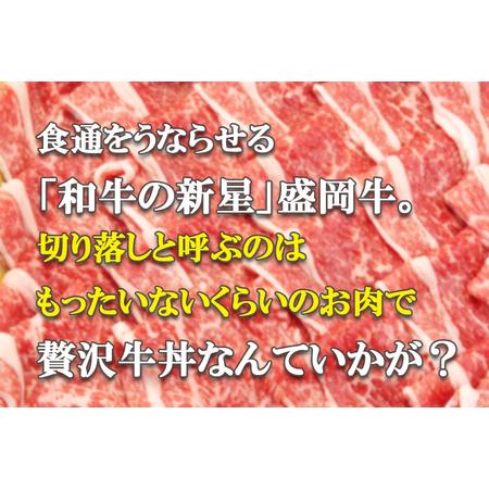 ふるさと納税 贅沢な盛岡牛の切り落し500g（250g×2p） 岩手県盛岡市