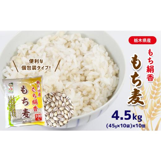 ふるさと納税 栃木県 真岡市 もち麦 (45g×10袋)×10個