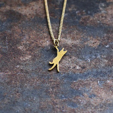 逃脫的貓爬上N410