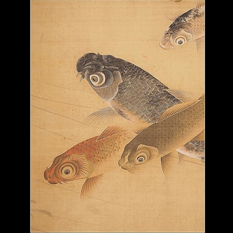 真作】【渡鹿庵】[雲林院蘇山] 6625 掛軸 日本画 鯉の図 合箱 絹本