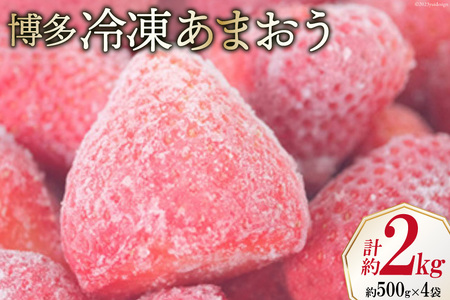 いちご 博多 冷凍あまおう 約500g×4袋 計約2kg [エイチアンドフューチャーズ 福岡県 筑紫野市 21760521] 果物 フルーツ 苺 イチゴ あまおう 冷凍いちご 冷凍苺 果実 ストロベリー ジャム用 福岡県産