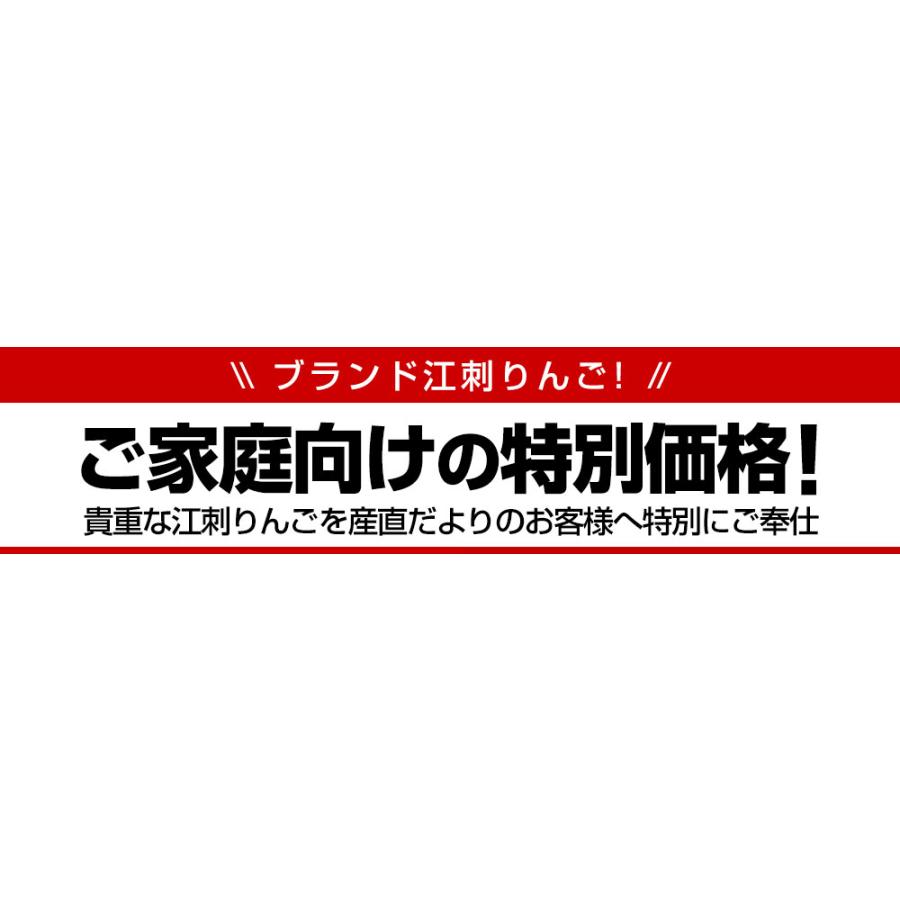 岩手県産 JA江刺 江刺のサンふじ 糖度14度以上 ご家庭向け 約3キロ (8玉から12玉) 送料無料 りんご リンゴ 林檎