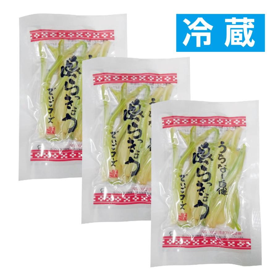 島らっきょう 塩漬＜冷蔵＞ 50g×3袋セット 送料無料 島ラッキョウ おつまみ 沖縄野菜 でいごフーズ