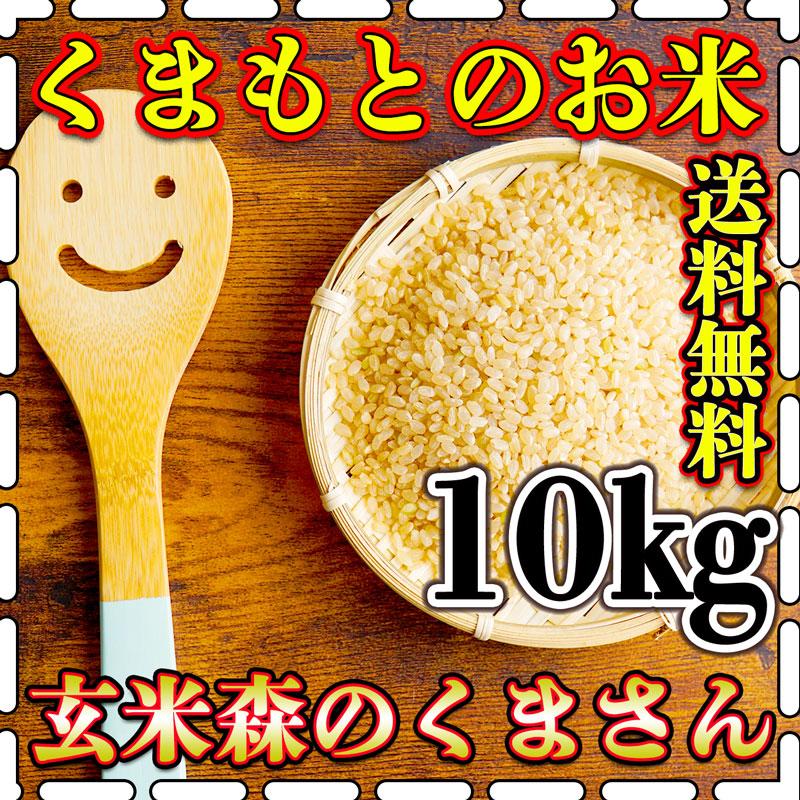 お米 米 10kg 玄米 送料無料 熊本県産 森のくまさん 新米 令和5年産 あすつく 5kg2個 くまもとのお米 富田商店 とみた商店