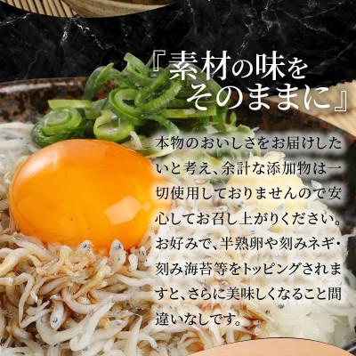 ふるさと納税 延岡市 宮崎産 おうちでしらす丼 しらす丼セット 10食分 漁港前の工場直売店 老舗の特製しょう油付き