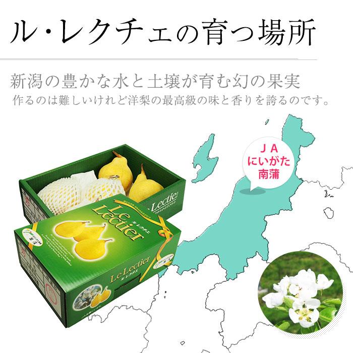 洋梨 新潟県産 ルレクチェ 秀品 約2kg 5〜7玉