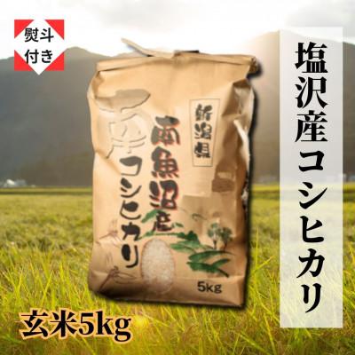 ふるさと納税 南魚沼市 南魚沼塩沢産こしひかり(玄米5kg)新潟県の美味しいお米