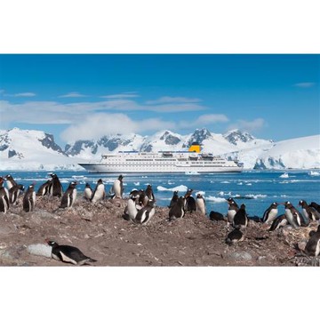 26．27年航程｜公主遊輪星辰公主號｜凱契根．安提卡灣．道斯冰川．維多利亞．朱諾．史凱威｜西雅圖｜自由行8日_CRFALAKASP