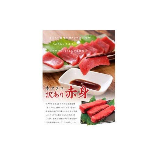 ふるさと納税 福島県 いわき市 本マグロ訳あり赤身700g　解凍レシピ付　本マグロの赤身食べ放題！