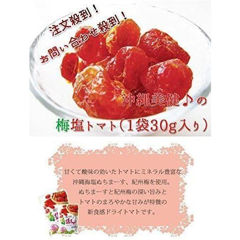 梅塩トマト 110g×5袋セット 沖縄の海塩 ぬちまーす使用 沖縄美健 ドライトマト 新食感 送料無料