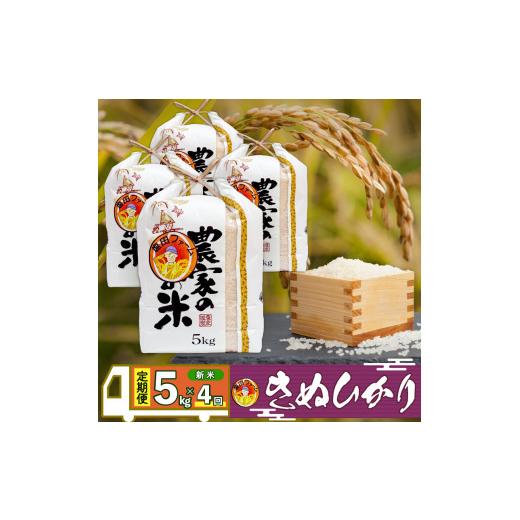 ふるさと納税 徳島県 阿波市 きぬひかり 新米  5kg 定期便 隔月 4回 2ヶ月に1回  お米 5キロ 精米済 白米 徳島県 阿波市