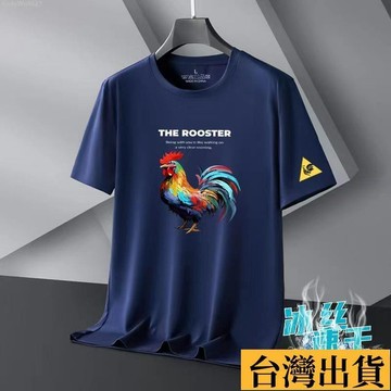 🌈台倉出庫🌈 男裝爆款速乾冰絲短袖T恤男士夏季寬鬆大碼百搭體恤衫潮流男T