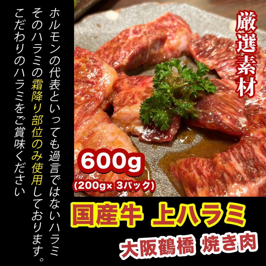 大阪鶴橋 焼き肉 上ハラミ 国産牛 ６００g 200g× 3パック) BBQ 肉 ハラミ ホルモン 牛肉 肉 真空パック