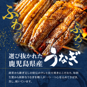 創業１４０年！！老舗うなぎ屋のうなぎのかば焼き2尾と骨せんべいセット うなぎ かば焼き 100g 2枚 骨せんべい 30g 2袋 セット 真空パック シーフード 加工品 老舗 土用 丑の日-1001